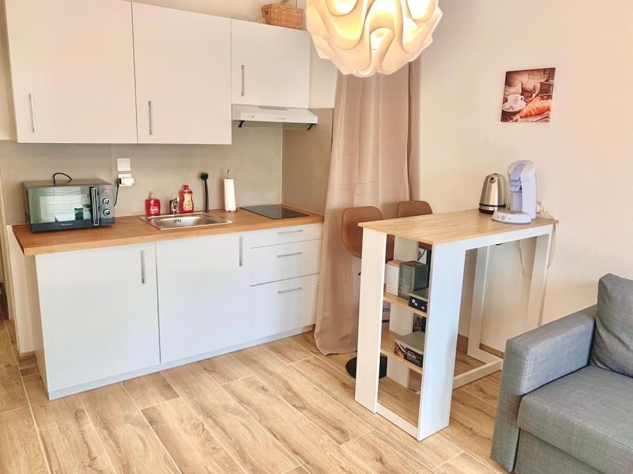 Embnb - Studio Near Geneva - S204,4 Etrembieres Kültér fotó